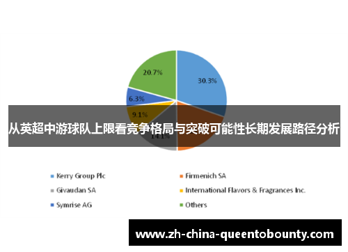 从英超中游球队上限看竞争格局与突破可能性长期发展路径分析